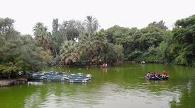 Lago del parque de la Ciutadella